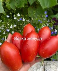 IMG_5916.jpeg