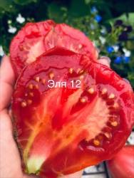IMG_5919.jpeg