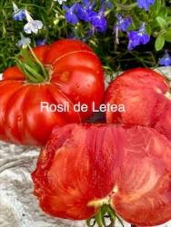 IMG_5921.jpeg