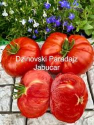 IMG_5922.jpeg