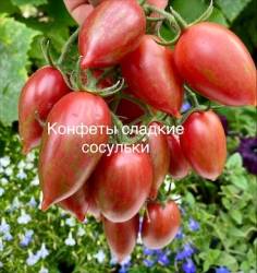 IMG_5923.jpeg