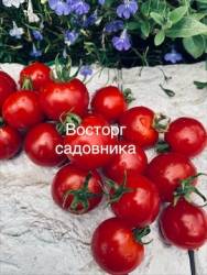IMG_5925.jpeg