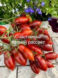 IMG_5926.jpeg