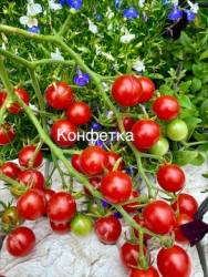 IMG_5927.jpeg