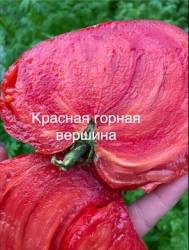 IMG_5928.jpeg