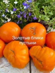 IMG_5929.jpeg