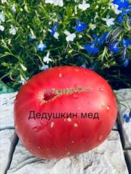 IMG_5930.jpeg