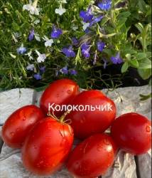IMG_5932.jpeg