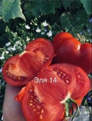 IMG_5933.jpeg