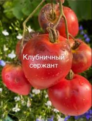 IMG_5934.jpeg