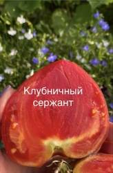 IMG_5935.jpeg