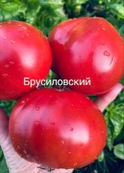 IMG_5937.jpeg