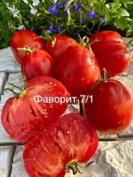 IMG_5938.jpeg