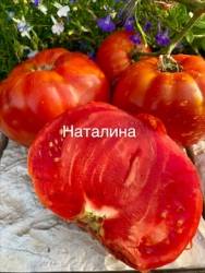 IMG_5939.jpeg