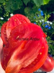 IMG_5941.jpeg