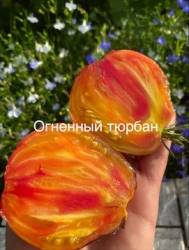 IMG_5942.jpeg