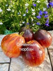 IMG_5943.jpeg