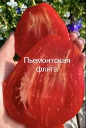 IMG_5945.jpeg