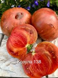 IMG_5946.jpeg
