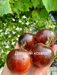IMG_5947.jpeg