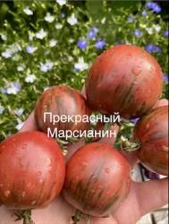 IMG_5948.jpeg