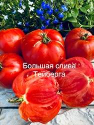 IMG_5949.jpeg