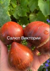 IMG_5950.jpeg