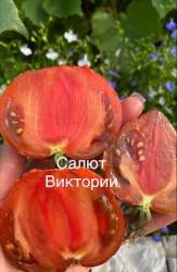 IMG_5951.jpeg