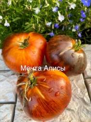 IMG_5952.jpeg