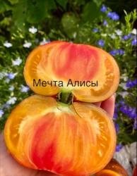 IMG_5953.jpeg