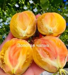 IMG_5955.jpeg
