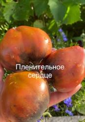 IMG_5956.jpeg