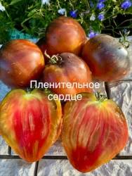 IMG_5957.jpeg