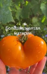 IMG_5958.jpeg