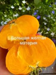 IMG_5959.jpeg