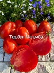 IMG_5960.jpeg