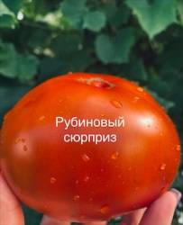 IMG_5962.jpeg