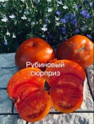 IMG_5963.jpeg