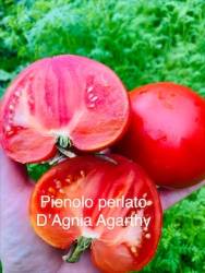 IMG_5964.jpeg