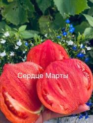 IMG_5980.jpeg