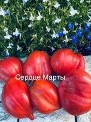 IMG_5981.jpeg