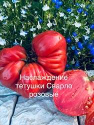 IMG_5983.jpeg