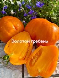 IMG_5985.jpeg