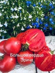 IMG_5986.jpeg
