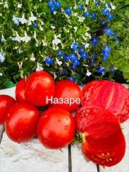 IMG_5987.jpeg