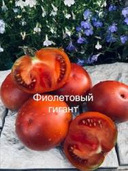 IMG_5990.jpeg