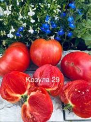 IMG_5992.jpeg