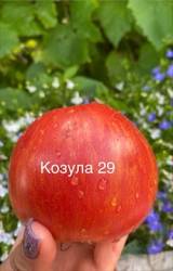 IMG_5993.jpeg