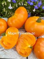 IMG_5994.jpeg