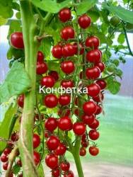 IMG_5995.jpeg